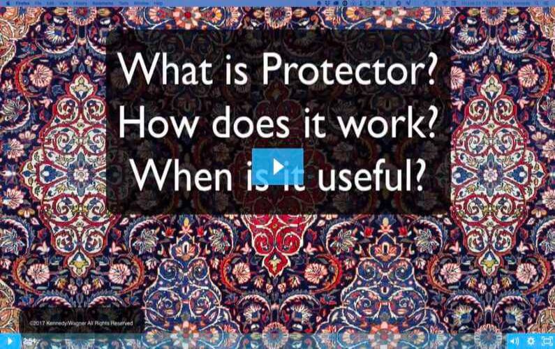 What Is Protector?